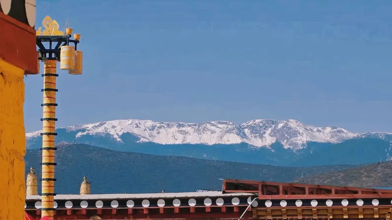 uznh